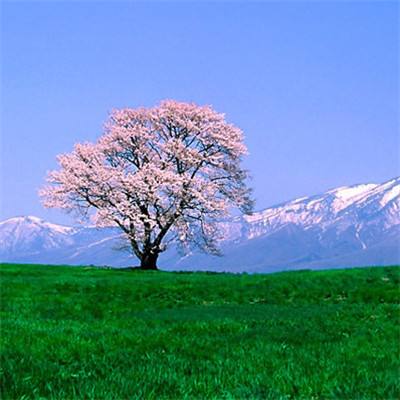 芯片股抛售加剧 谷歌公布可大幅降低内存需求的技术突破